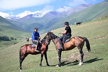 Лошади, кони: Продаю | Конь (самец) | Полукровка | Рабочий — 18
