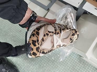 Patike: 36-40 4900 — 12