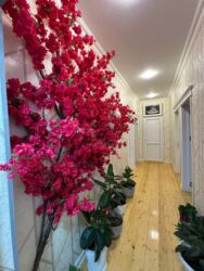 Həyət evləri və villaların satışı: Masazır 3 otaqlı, 90 kv. m, Yeni təmirli -da lalafo.az — 11 Həyət evləri və villaların satışı: Masazır 3 otaqlı, 90 kv. m, Yeni təmirli — 11