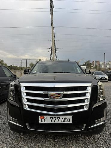 евро тонник: Cadillac Escalade: 2019 г., 6.2 л, Автомат, Бензин, Внедорожник — 1
