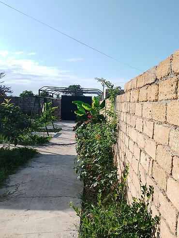 dəst mebel: Təçilli 5 sotda 3 otaqli ev satilir ünvan isti su qes dənize yaxın 10 — 4