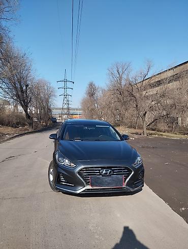 Hyundai: Hyundai Sonata: 2017 г., 2 л, Автомат, Бензин, Седан — 3