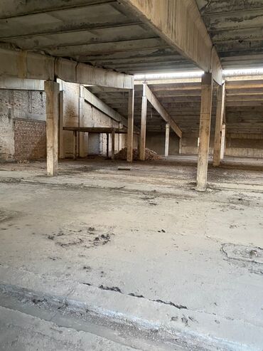 Продажа участков: 100 соток, Красная книга — 7