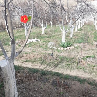 Продажа домов: Дача, 28 м², 2 комнаты — 6