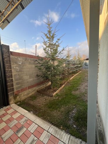 Продажа домов: Дом, 200 м², 8 комнат, Собственник, Евроремонт — 4