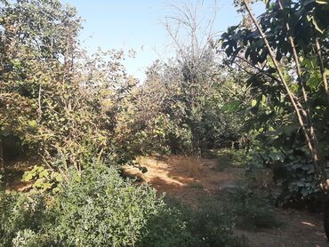 Həyət evləri və villaların satışı: 6 otaqlı, 200 kv. m, Kredit yoxdur, Orta təmir -da lalafo.az — 9 Həyət evləri və villaların satışı: 6 otaqlı, 200 kv. m, Kredit yoxdur, Orta təmir — 9