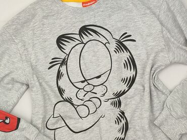 bluza reprezentacji niemiec: Sweatshirt, Nickelodeon, 14 years, 158-164 cm, condition - Perfect