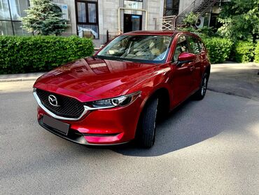 Mazda: Mazda CX-5: 2017 г., 2.5 л, Автомат, Бензин, Кроссовер