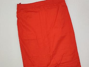 spodnica maxi: Classic, Spódnica damska, rozmiar L — 1