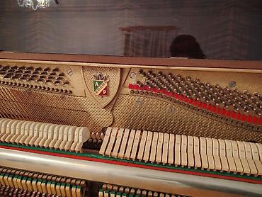 Pianolar: Piano, Akustik — 4