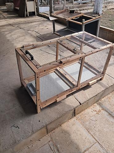 akvarium xırda balığı: Tecili kletka satilir zakazlada duzeldilir 0559481453 — 2