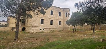 qara qarayev: 24 sot, Biznes üçün, Mülkiyyətçi, Kupça (Çıxarış) — 2