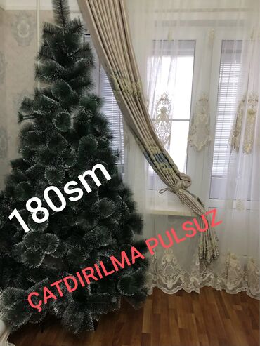 avakado agaci: 🌲🌲🌲1.80-55azn qarlı +5azn 🌲🌲🌲