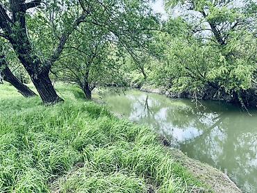 Torpaq sahələrinin satışı: Kənd təsərrüfatı, Kupça (Çıxarış) — 12