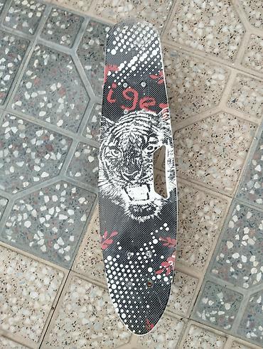 penny board: Skateboard islemmemis — 1