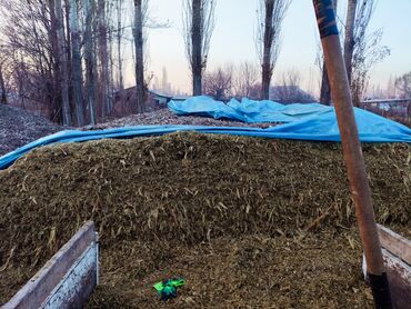 кальций для животных: 🌽🌽 Качество 💯 ✅Силос Сатылат ✅Продаю Силос ✅Бесплатная погрузка