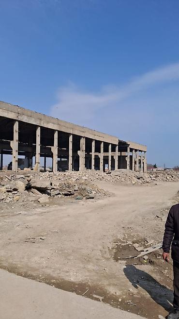 300 sot, Kənd təsərrüfatı, Makler, Kupça (Çıxarış) lalafo.az -da 300 sot, Kənd təsərrüfatı, Makler, Kupça (Çıxarış)