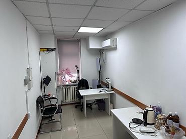 первая линия: Аренда офисов, 33 м², В административном здании, 1 линия — 4