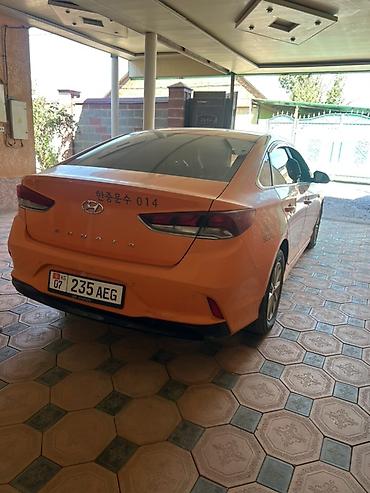 кормашек соната: Hyundai Sonata: 2019 г., 2 л, Газ, Седан — 4