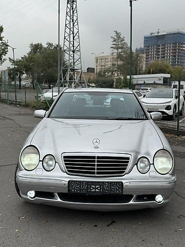 Унаа: Mercedes-Benz E-class AMG: 1999 г., 5.4 л, Автомат, Бензин, Седан — 2