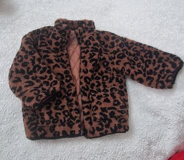 Kurtkalar: Kurtka, Qız, 4 - 5 yaş, Zara Kids
