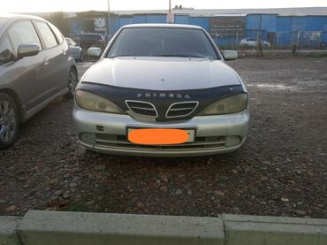 нисан сефро: Nissan Primera: 2000 г., 1.8 л, Механика, Бензин, Хэтчбэк