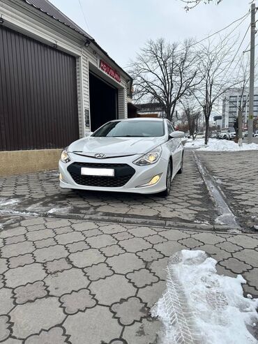 парктроник: Hyundai Sonata: 2012 г., 2 л, Автомат, Гибрид, Седан