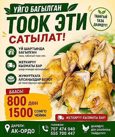 Домашние куры (цельные тушки) - Натуральное, чистое куриное мясо