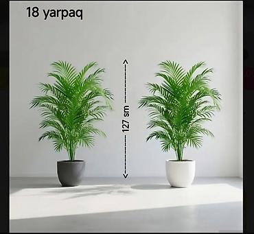 sabun gul buketi: Dekorativ süni palma bitkisi - Model: 18 yarpaq - Hündürlük: 127 sm — 2