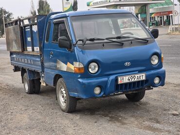 Легкий грузовой транспорт: Легкий грузовик, Hyundai, Дубль