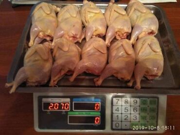 сочная жопа in Кыргызстан | ОВОЩИ, ФРУКТЫ: Мясо перепелов -- деликатес: оно нежнее, сочнее, ароматнее куриного