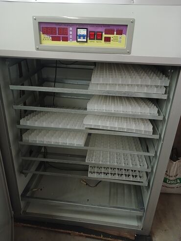 Yem üyüdən aparatlar: - Yumurta inkubatoru: Rəqəmsal idarəetmə paneli, temperatur və rütubət — 1