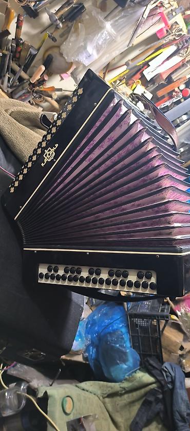 Akkordeonlar: Akustik Akkordeon, Yeni — 6
