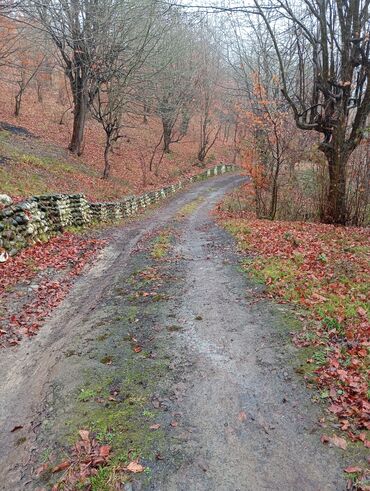 Restoran, kafelər: Masalli İsti su yaxin. 3 hektar ərazi 7 katej 6 bisetka. Tam islek -da lalafo.az — 3 Restoran, kafelər: Masalli İsti su yaxin. 3 hektar ərazi 7 katej 6 bisetka. Tam islek — 3