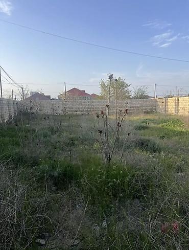 bagi: 5 sot, Tikinti, Barter mümkündür, Bələdiyyə — 5