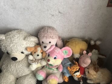 саламандра обувь бишкек: Набор разнообразных мягких игрушек, который включает медведя, пуделя