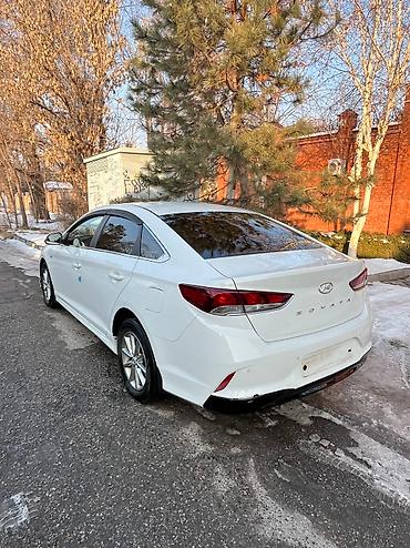 rental car: Сдаю Hyundai Sonata, Долгосрочно, Без водителя, | Залог, Предоплата, Водительские права — 3