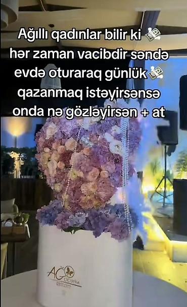 Ev köməkçiləri: Ev köməkçisi tələb olunur, Dəyişən qrafik, Təcrübəsiz, Gündəlik ödəniş — 1
