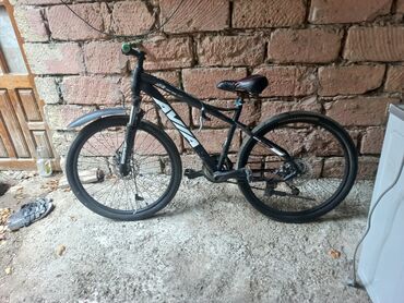 mercury velosiped: Dağ velosipedi Aist, 26"