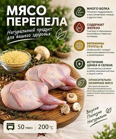 Перепелка: Продаю мясо перепела, натуральные корма с Халал сертификацией, забой — 1