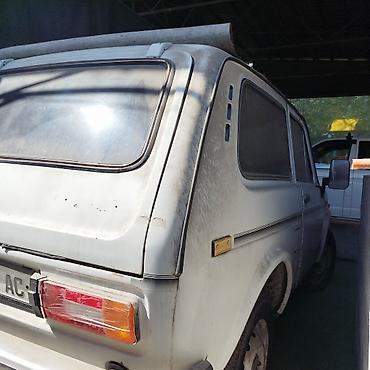 кузов на 124: ВАЗ (ЛАДА) 2121 (4x4): 1989 г., 1.6 л, Механика, Внедорожник — 5