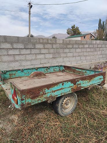 Все вопросы по телефону