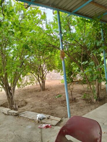 Bağ evlərinin kirayəsi: 100 kv. m, 3 otaqlı, Hovuzlu, Artezian quyusu, Su, Kombi — 8