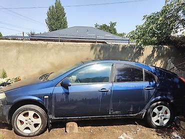 small car: Nissan Primera: 2003 г., 1.9 л, Механика, Дизель, Хэтчбэк — 2