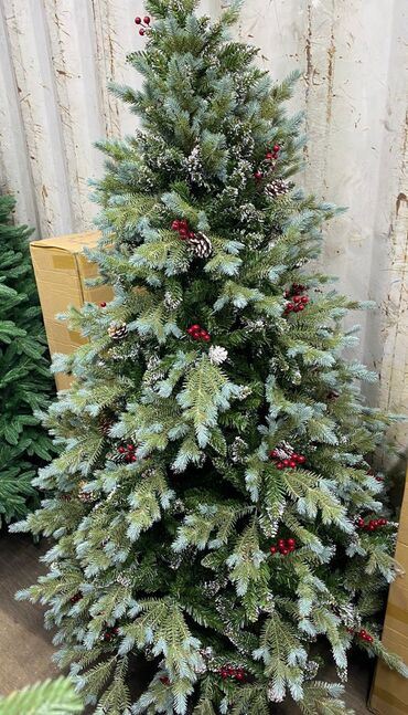 Ёлки: Елки белоснежные елки литые елки пышные елки Идут продажи at lalafo.kg — 7 Ёлки: Елки белоснежные елки литые елки пышные елки Идут продажи — 7