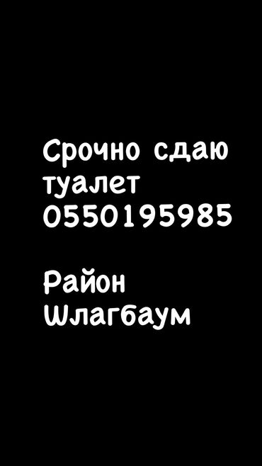 Другая коммерческая недвижимость: Срочно сдаю туалет район шлагбаум