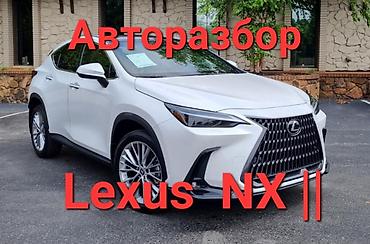 нексяа 2: Авторазбор Lexus NX 2 — 1