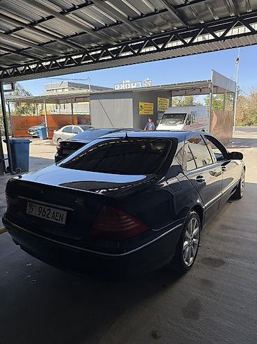 мерседес седан: Mercedes-Benz S-Class: 2001 г., 3.2 л, Автомат, Бензин, Седан — 3