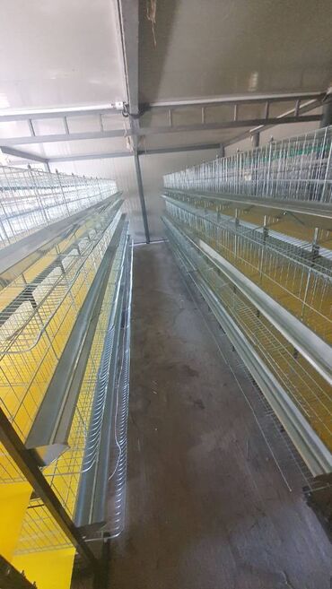 Domaće životinje: Prodaja pocinkovanih kaveza za koke, pilice i zeceve u kompletu sa — 5