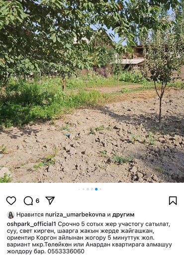 жун тыткан жер: 6 соток, Курулуш, Кызыл китеп